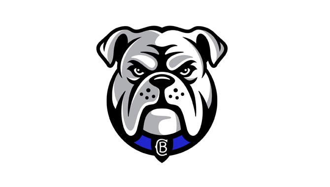 Canterbury-Bankstown Bulldogs